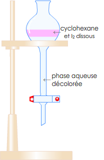 ajuster le volume au trait de jauge pour avoir 250 mL de solution