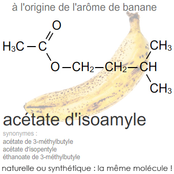 arôme de banane - ester - montage à reflux