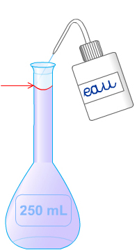 ajuster le volume au trait de jauge pour avoir 250 mL de solution