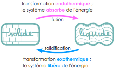 endothermique vs exothermique