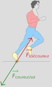 sol coureur action réciproque 3e loi Newton